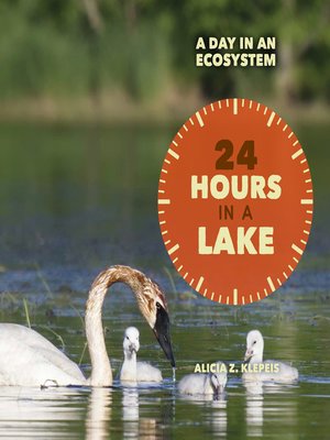 cover image of 24 Hours in a Lake